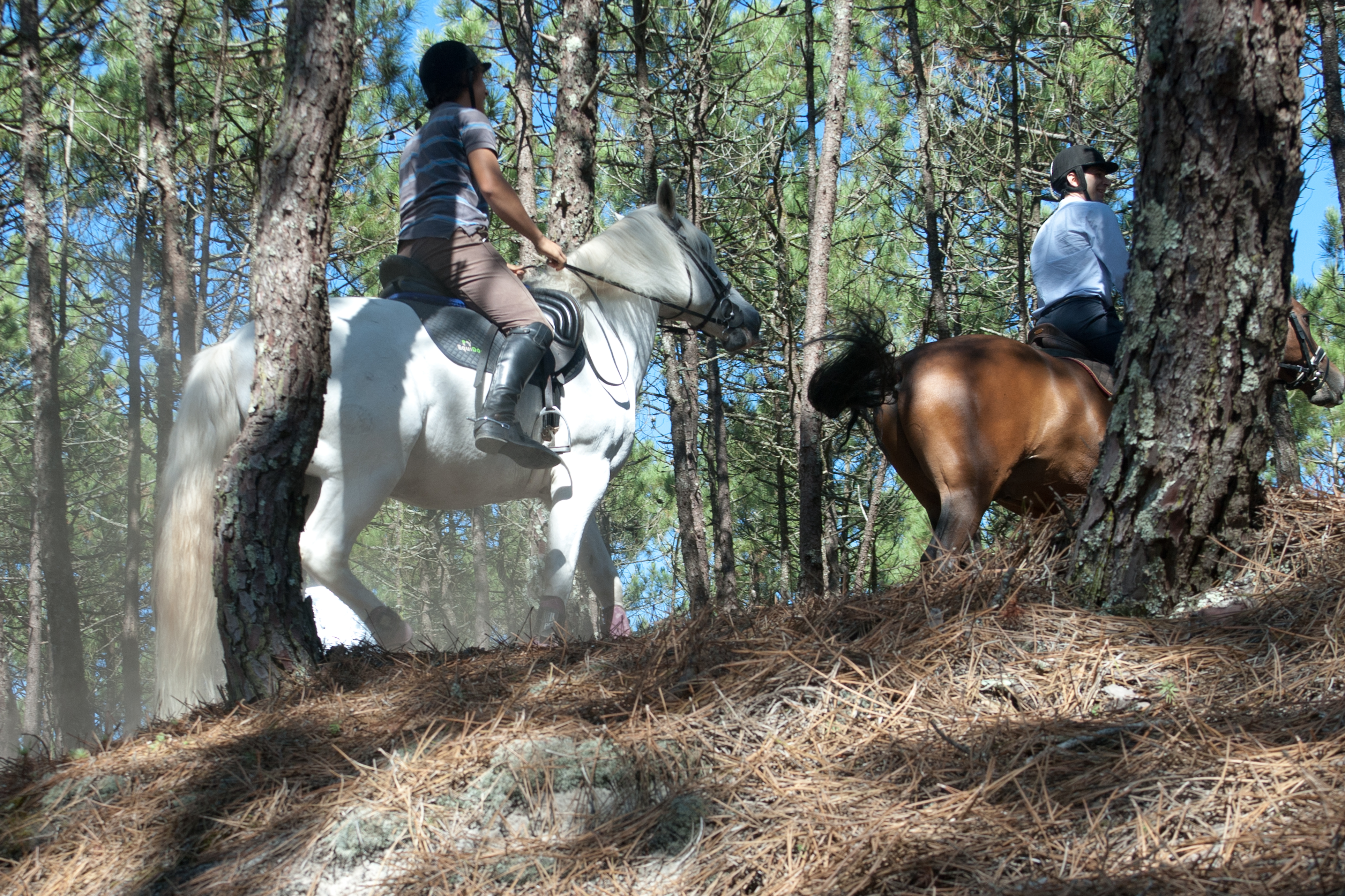 Batismo de Cavalo  - Image 1