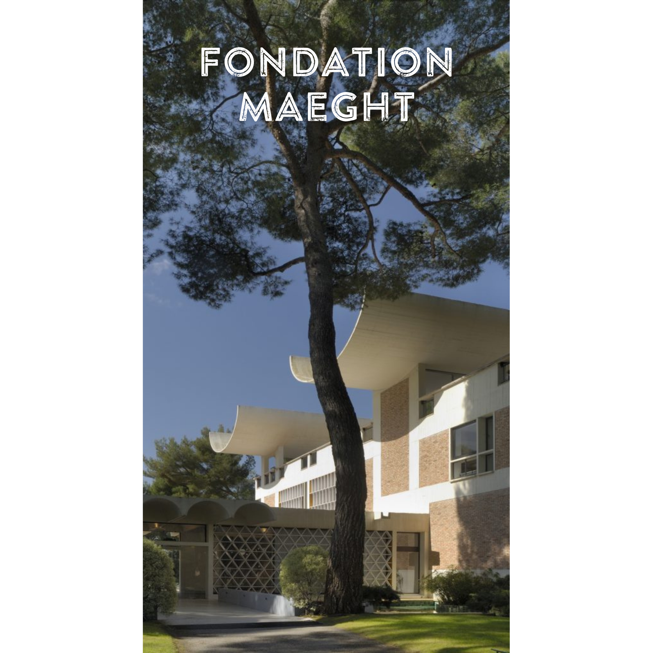 Museums - Image 1