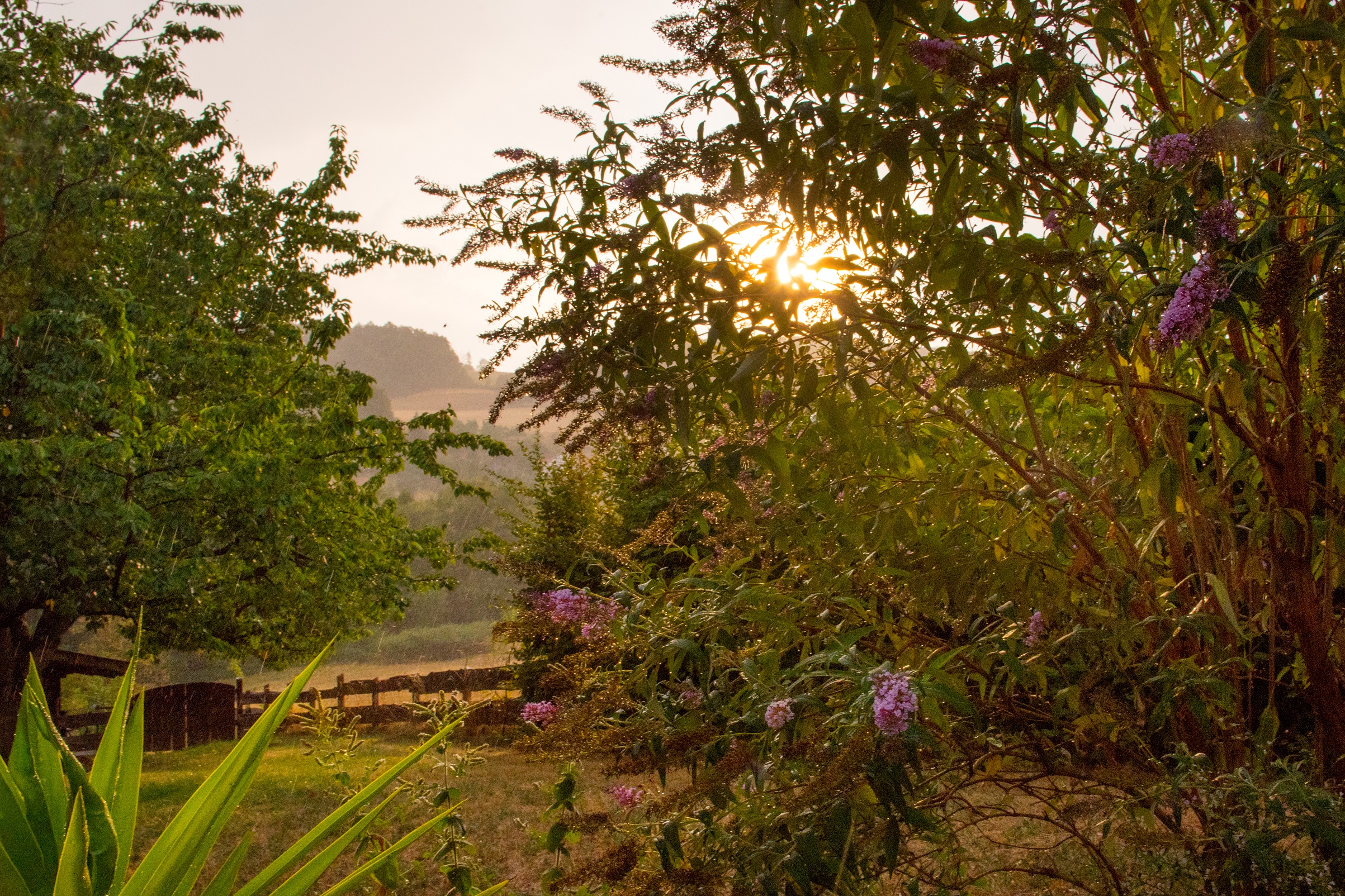Wellness - Image 5