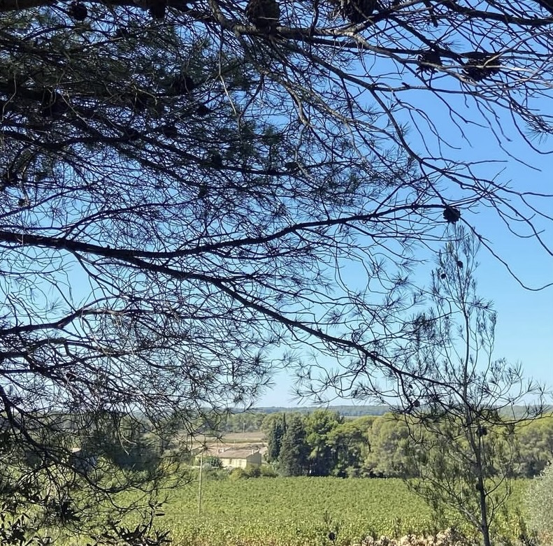 Notre domaine