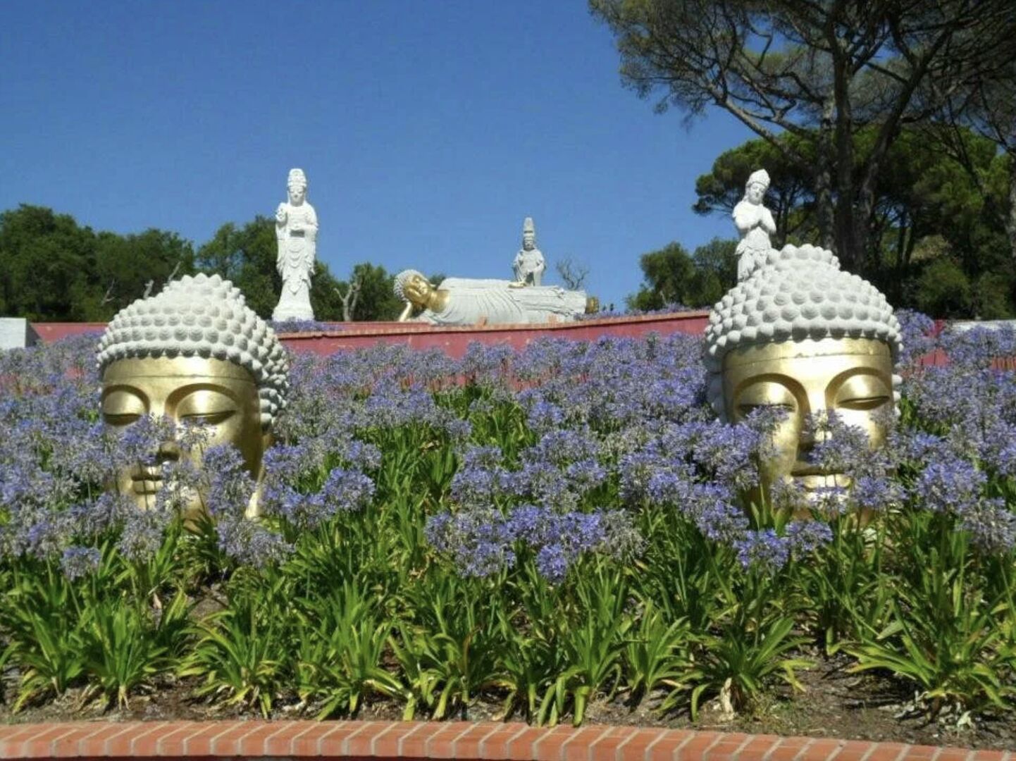 BUDDHA EDEN PARK