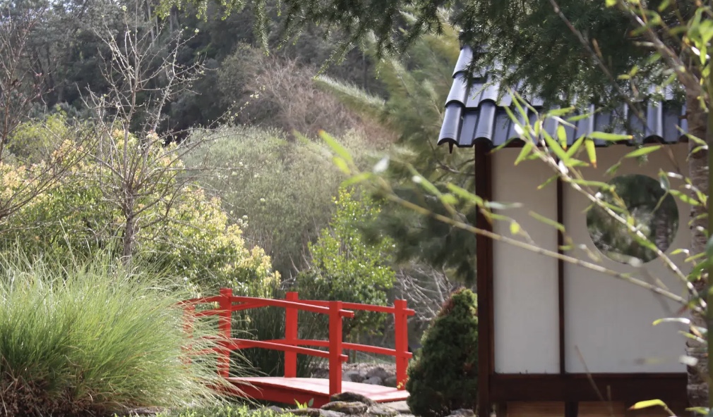 Japanese Garden