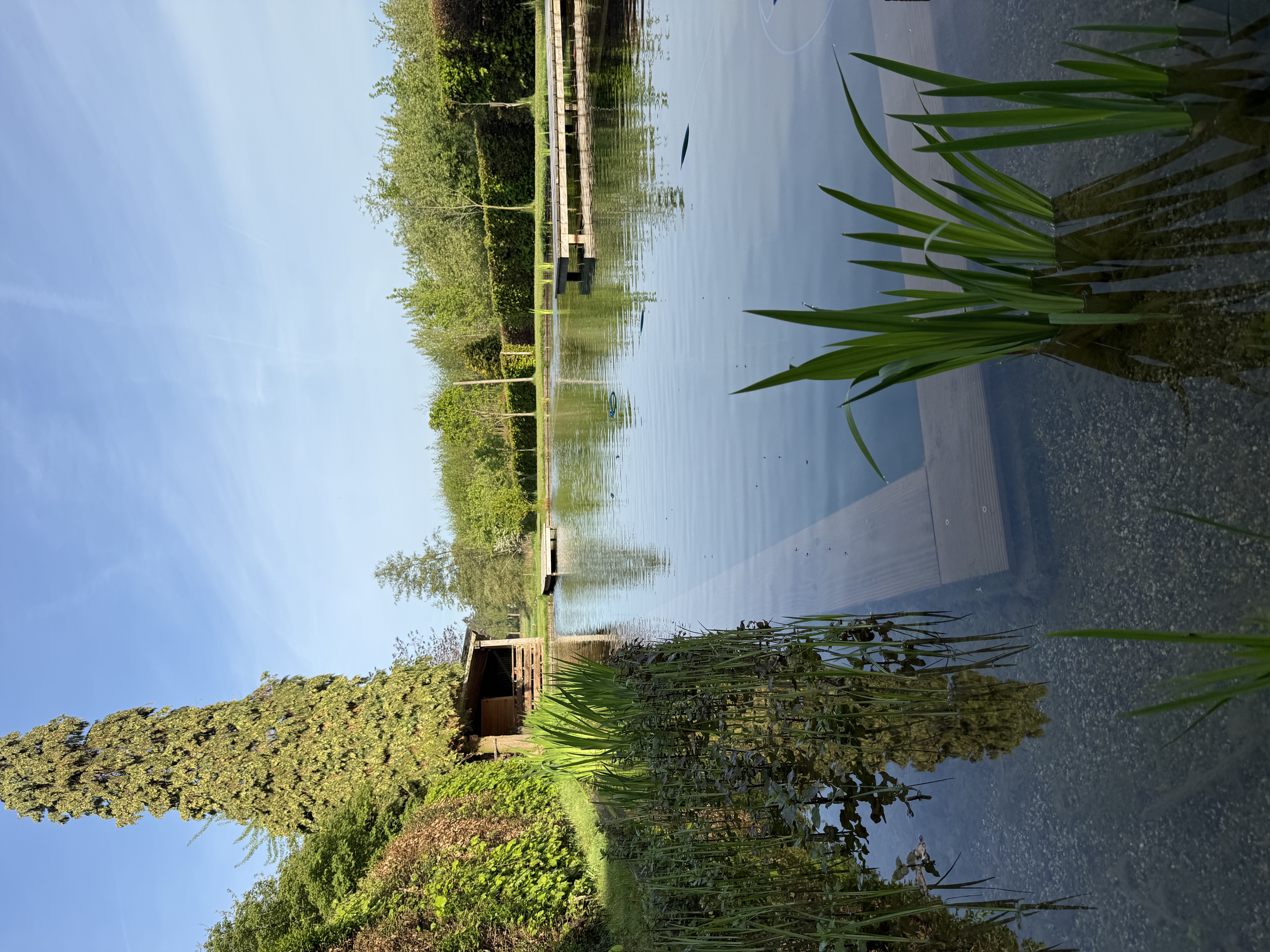 Spa & Wellness - Image 3
