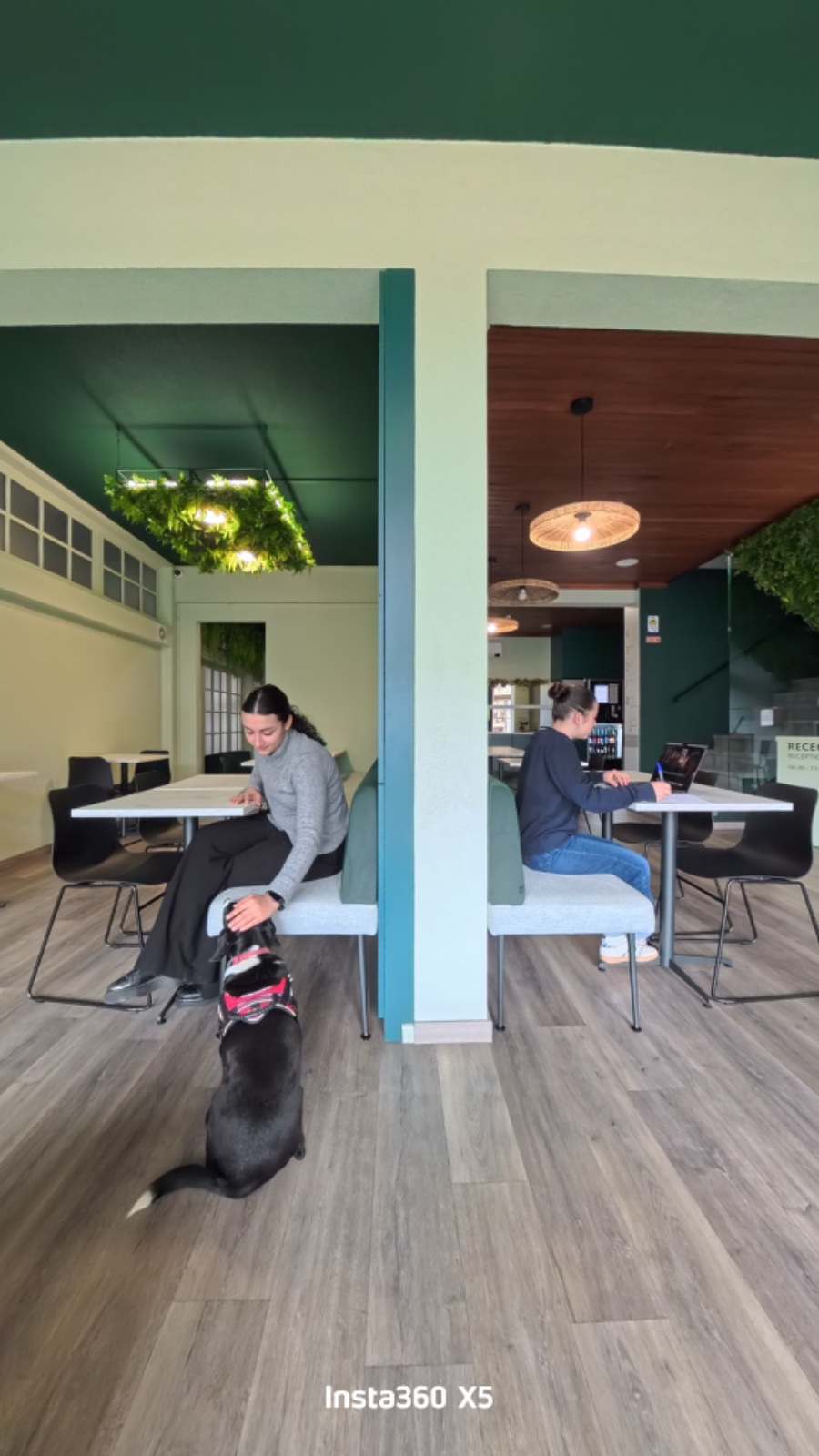 Hotel PET-Friendly