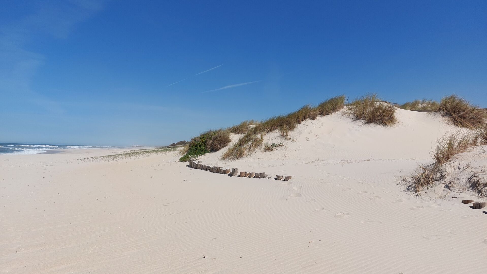 Praia do Areão - Vagos
