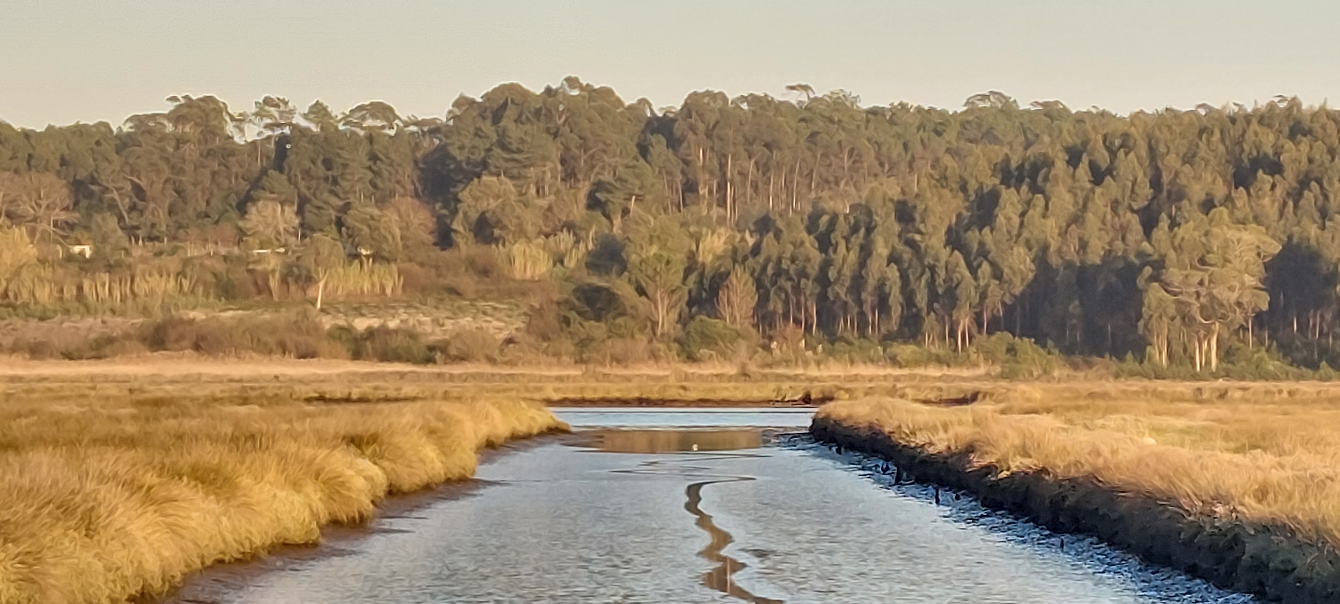 Ria de Aveiro - Vagos
