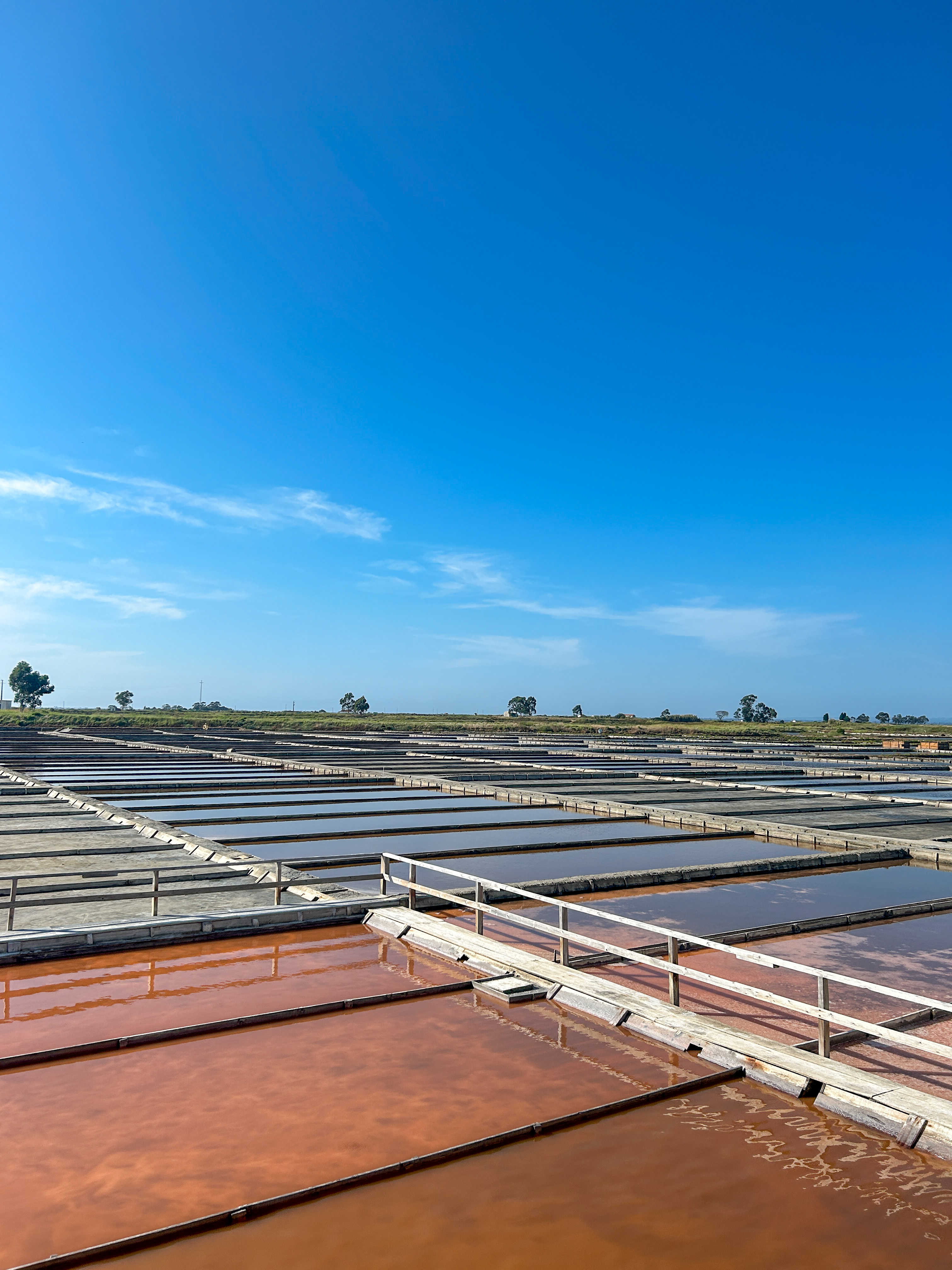 Salinas de Aveiro