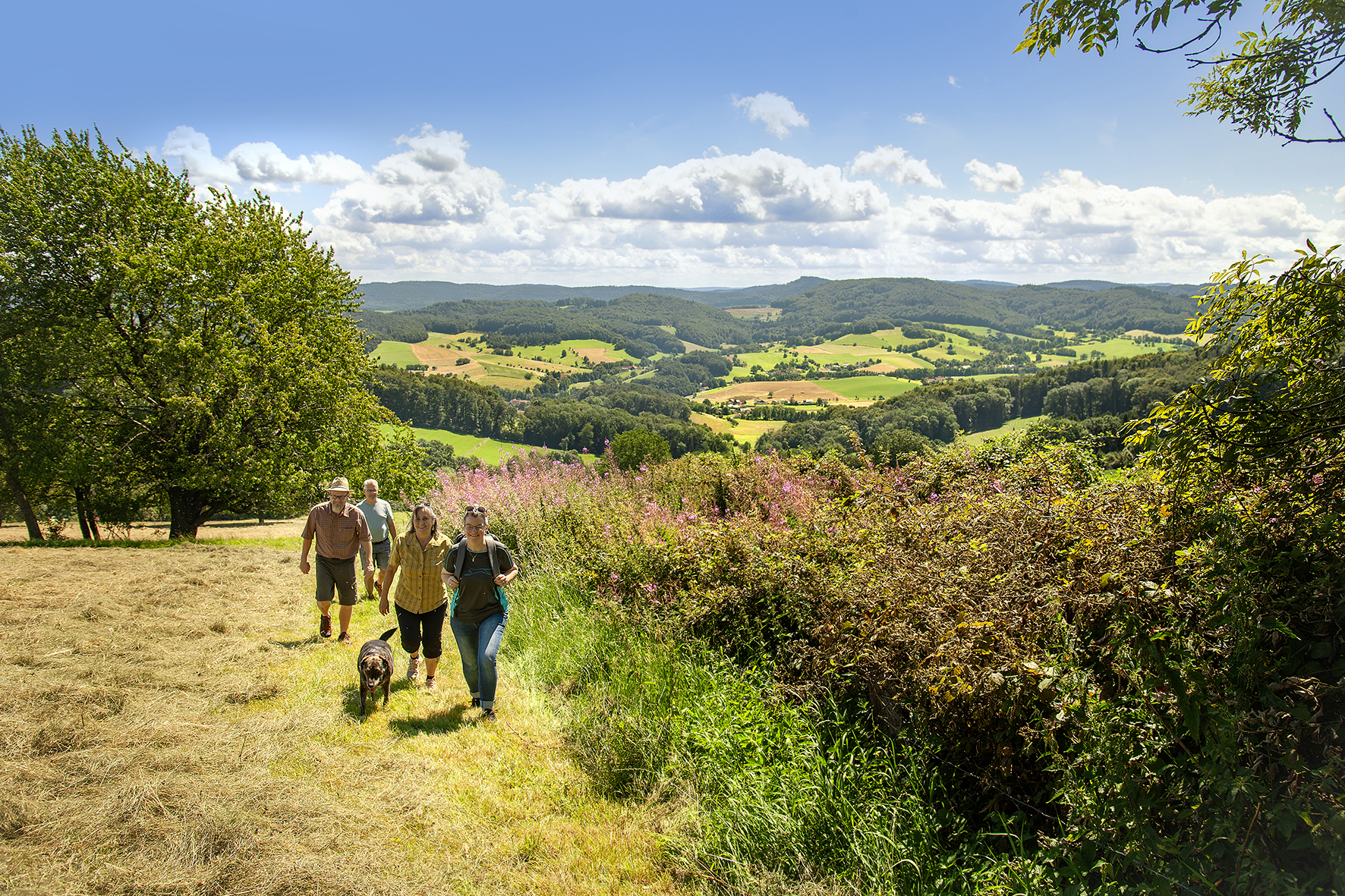 Wandern - Image 1