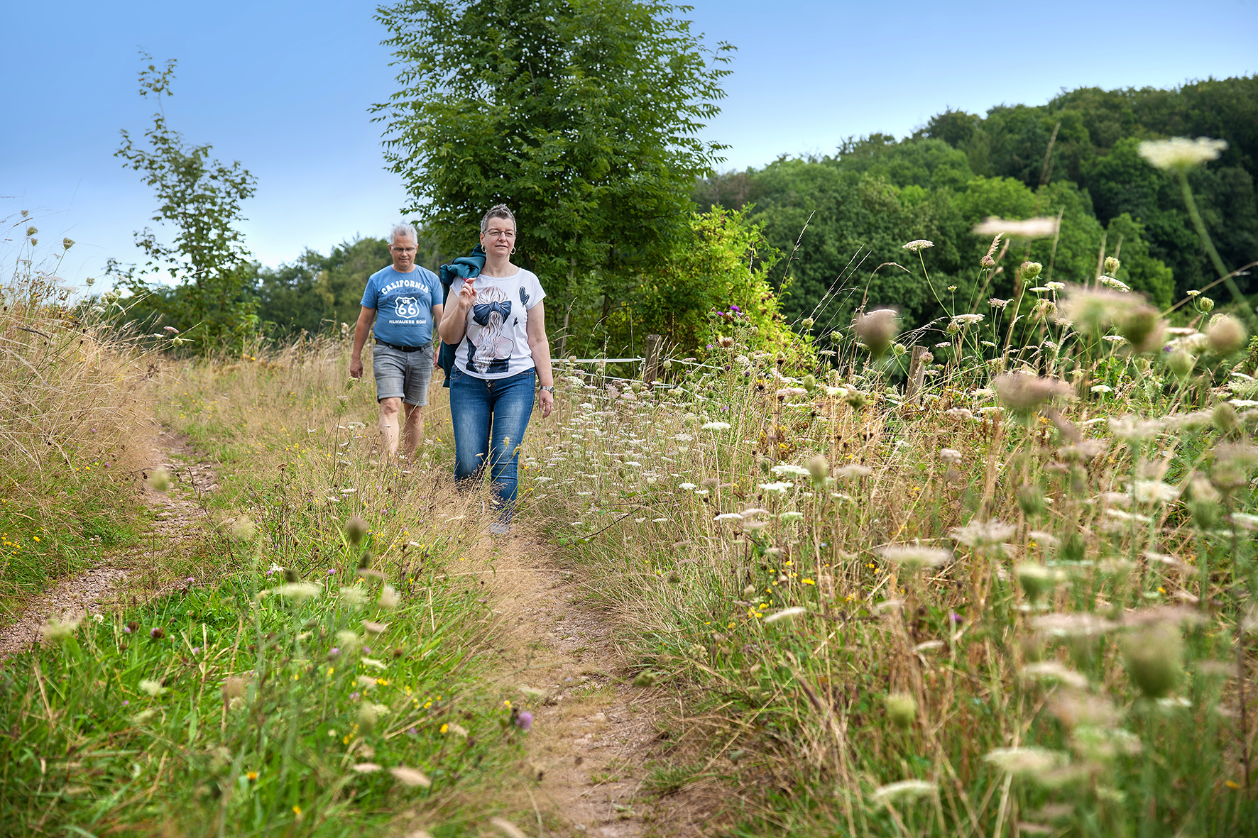 Wandern - Image 2