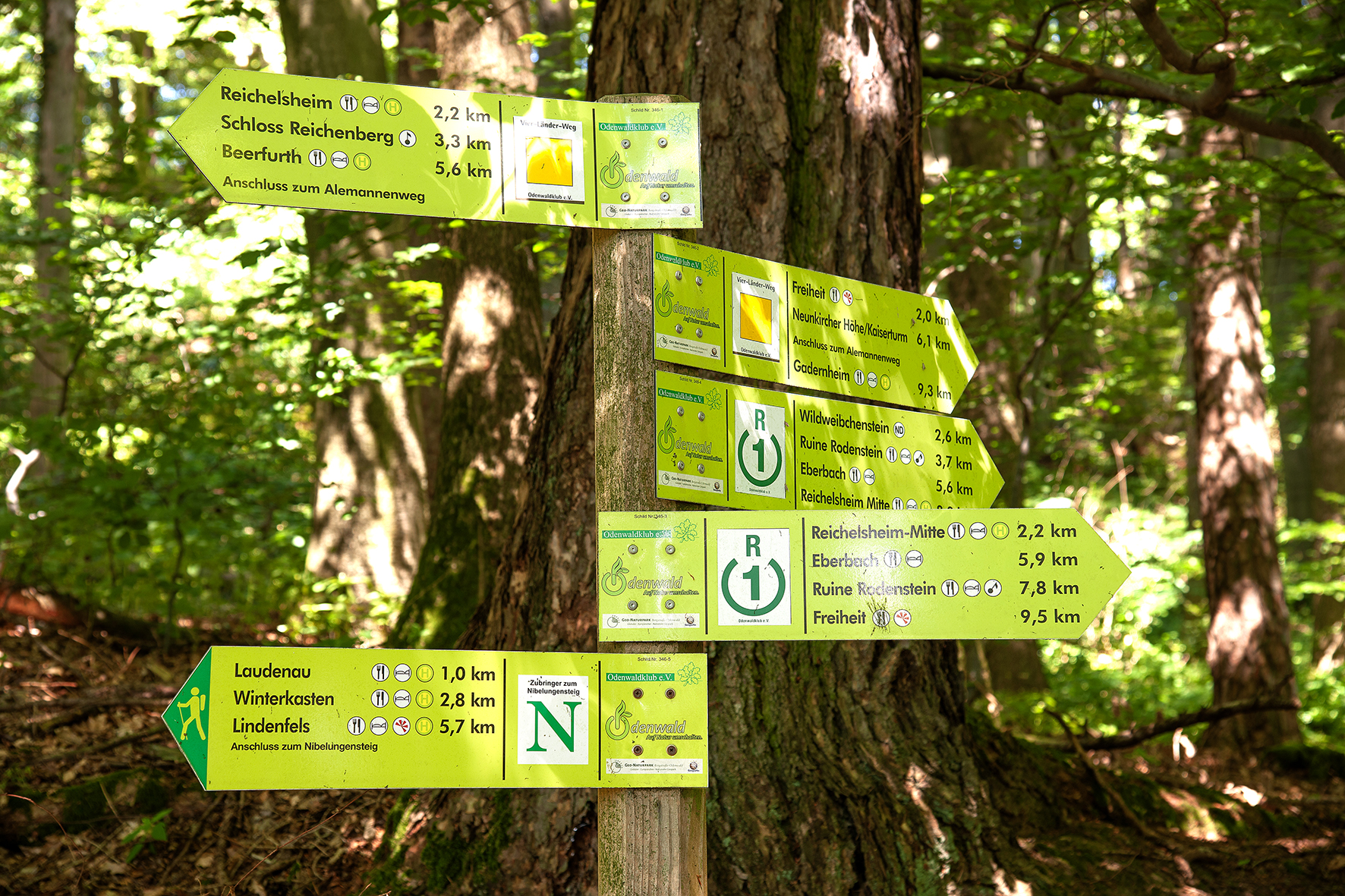 Wandern - Image 4