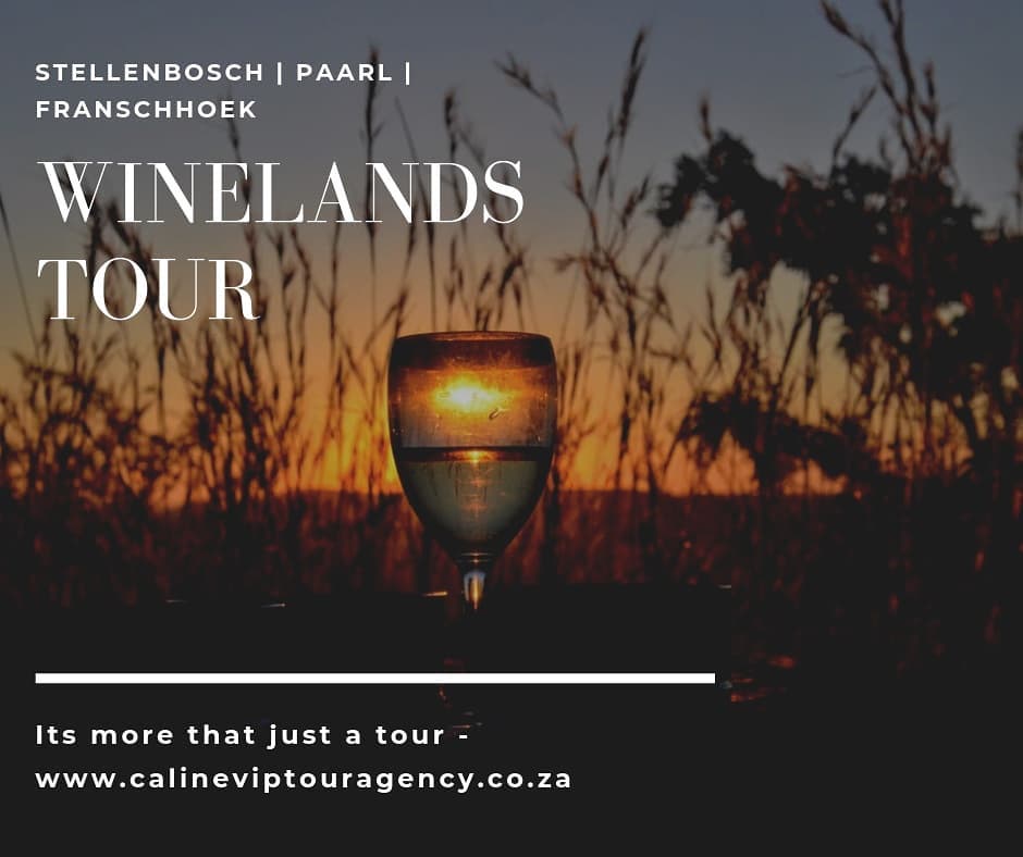 Vineland Tour - Image 1