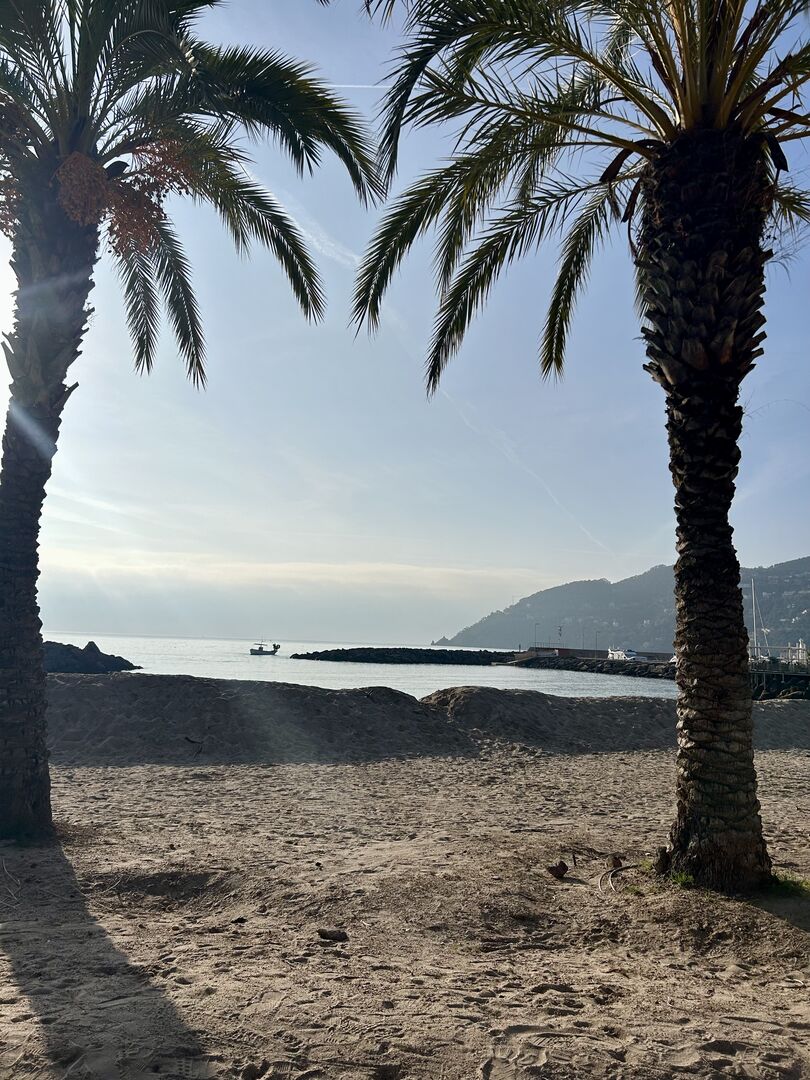 Côte d'Azur - Image 7