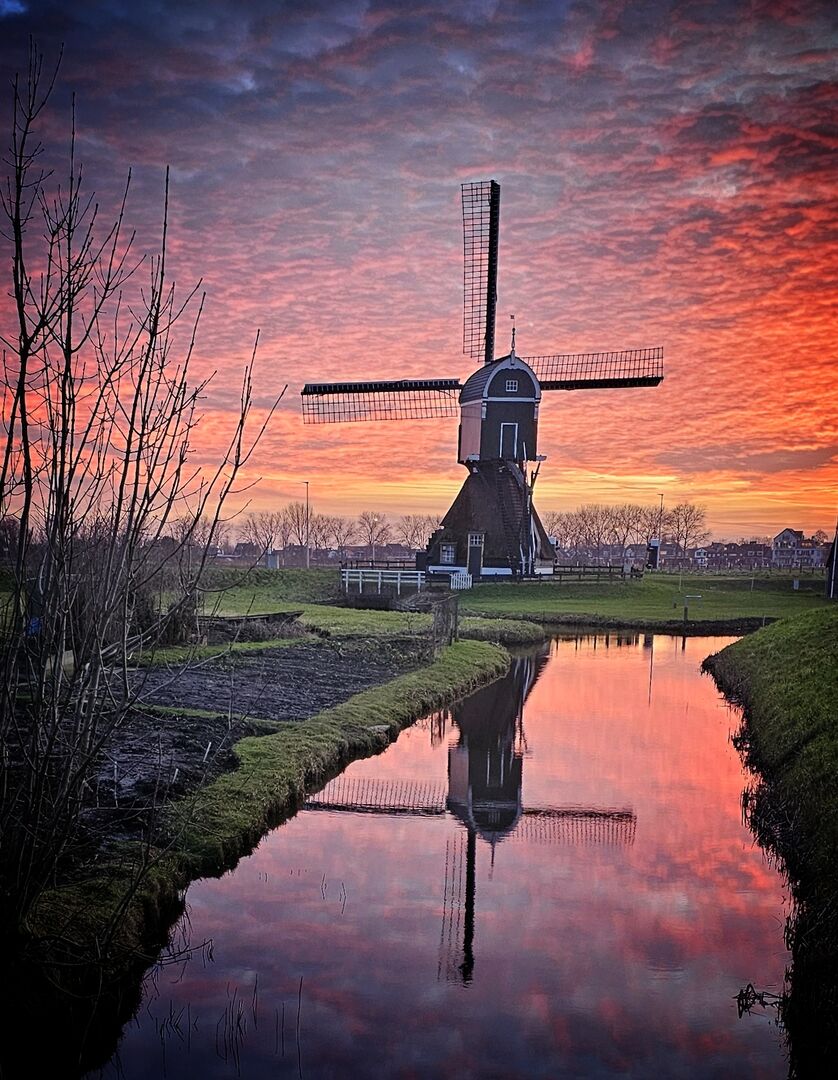 De Bonkmolen  - Image 3
